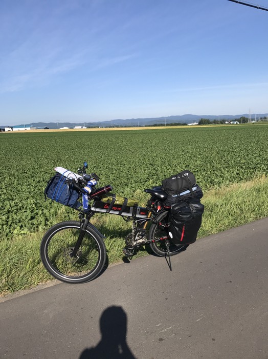 一面ジャガイモ畑