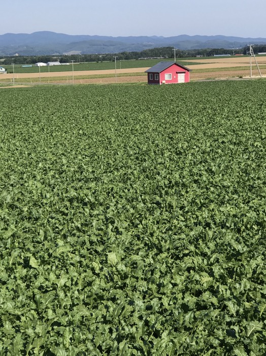広大な大地に棲む住人
