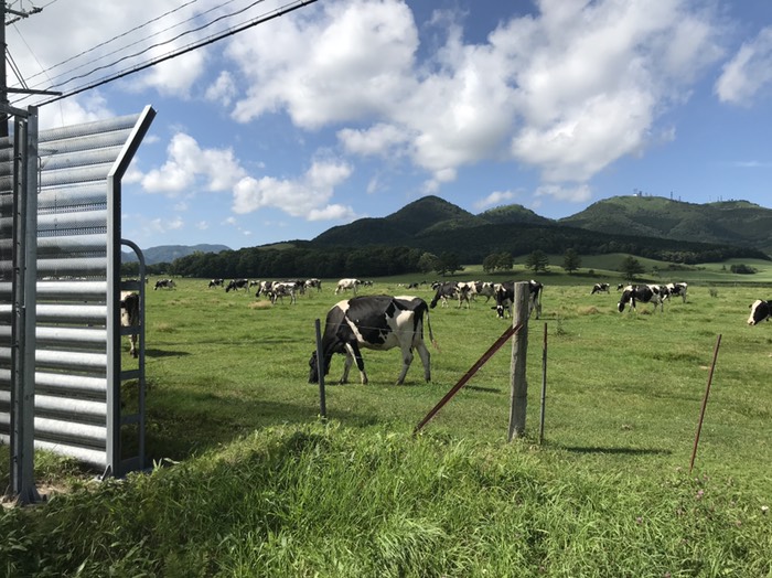 阿寒横断道路沿いの牧場
