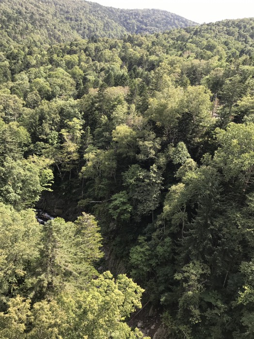 日勝峠下り途中　すごい渓谷