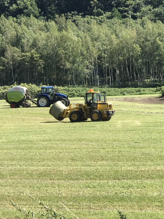牧草収穫風景