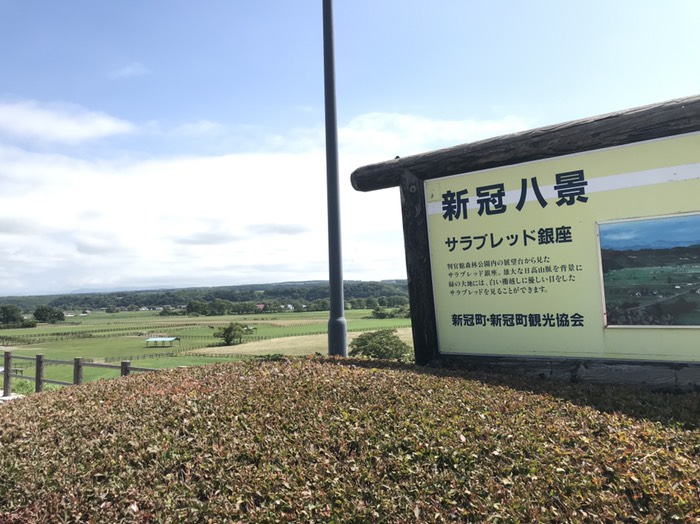 サラブレッド銀座