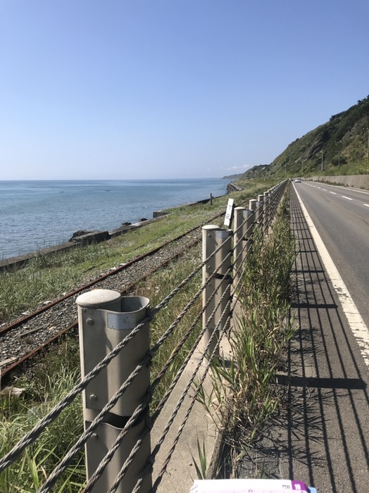 国道235沿いの海岸線