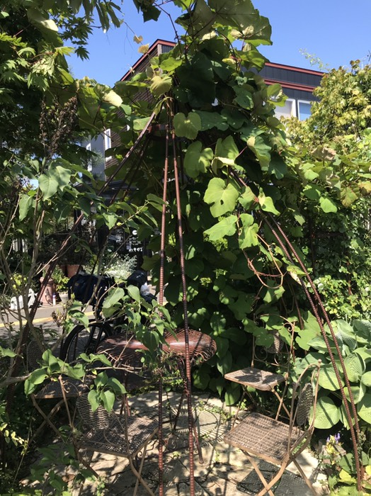 コーヒーショップ　キャロット