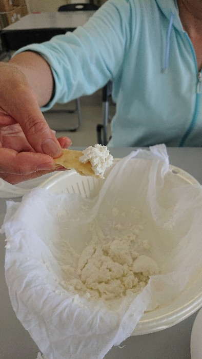 カッテージチーズ