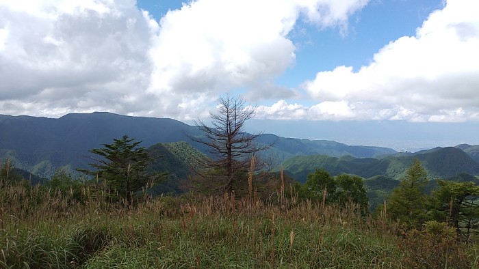 ハイキング道より