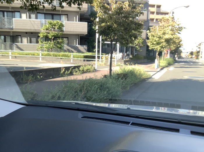 セントラルハイツ