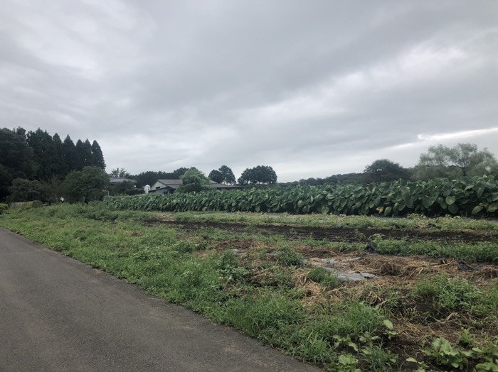 以前スケッチした牧舎