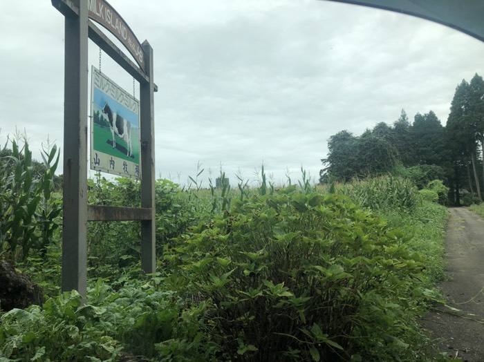 山内牧場