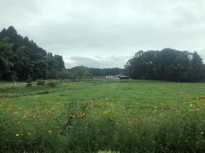 那須農場