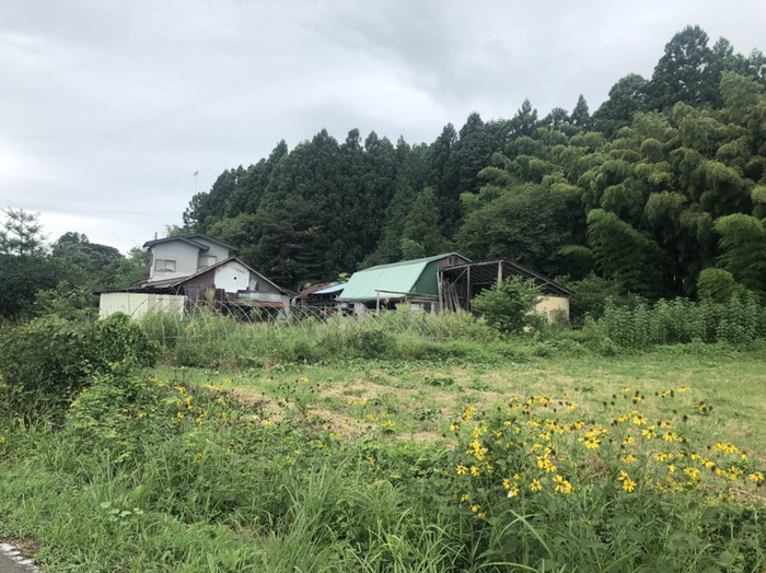 新たに見つけた牧舎