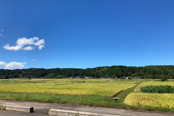 素晴らしい色合い！