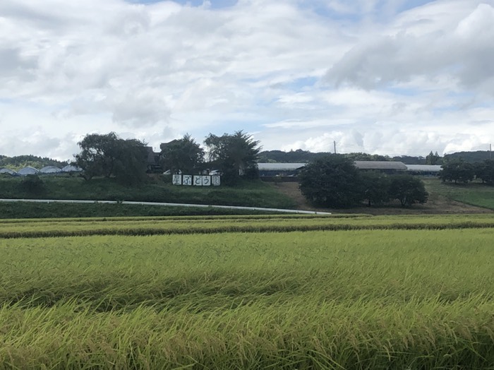 星の見える丘農園