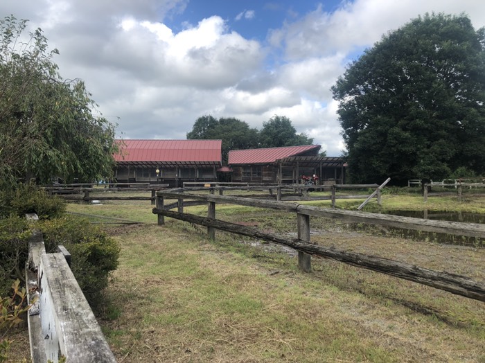 馬頭ホースランド