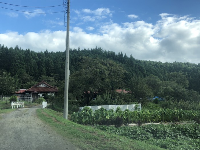 桜が咲いたら綺麗な農家