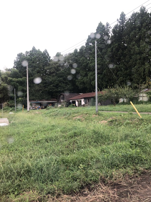 たけし？ファーム