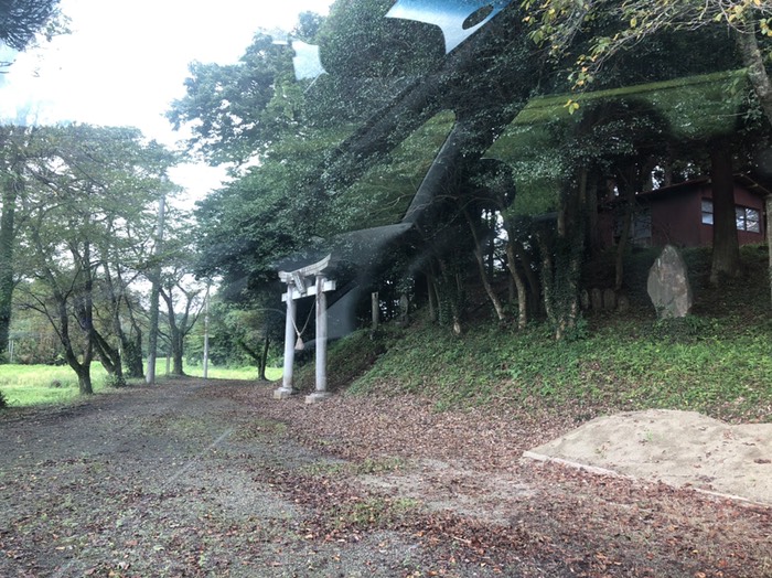 桜に囲まれた鎮守様