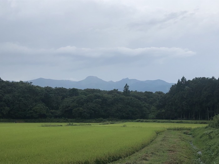 那須連山が見渡せる田んぼ