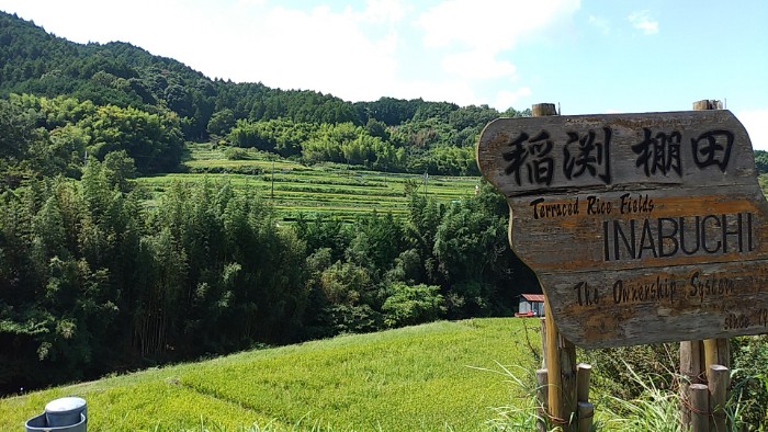 稲渕棚田