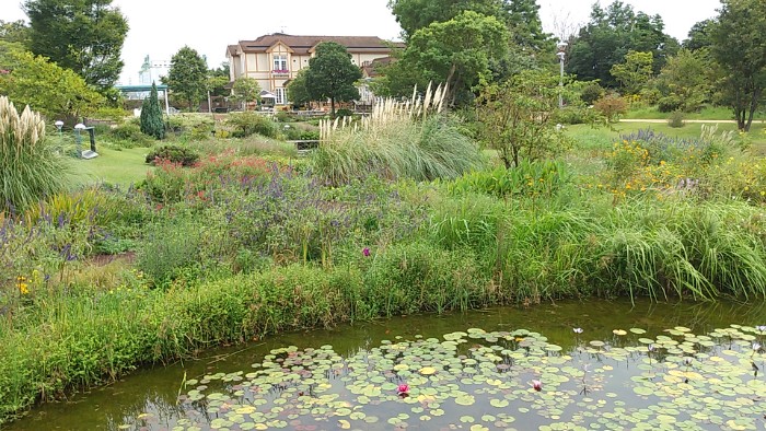 ブルーボネット