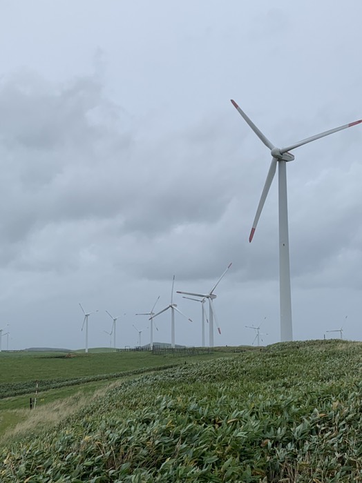 風力発電群