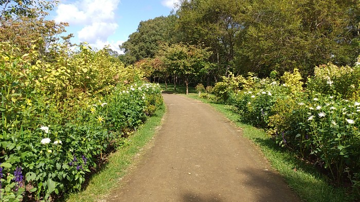 えこりん村 銀河庭園