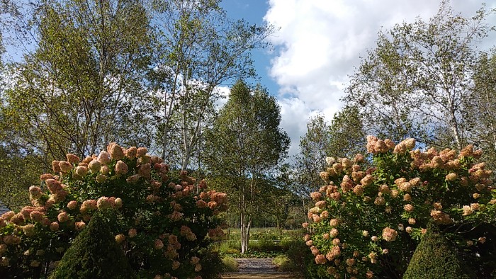 えこりん村 銀河庭園