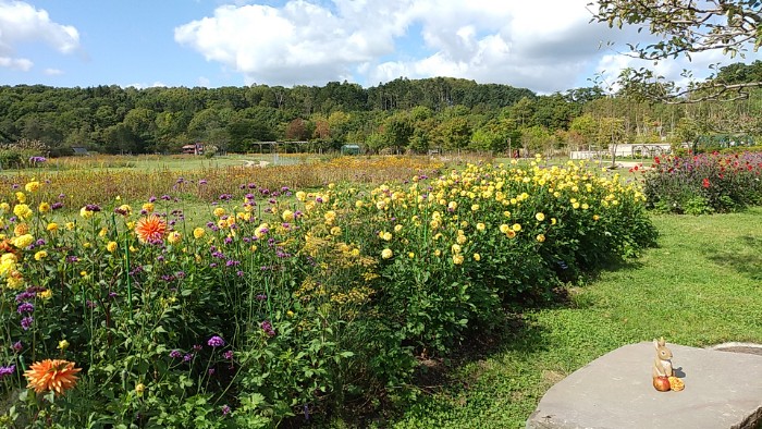えこりん村 銀河庭園