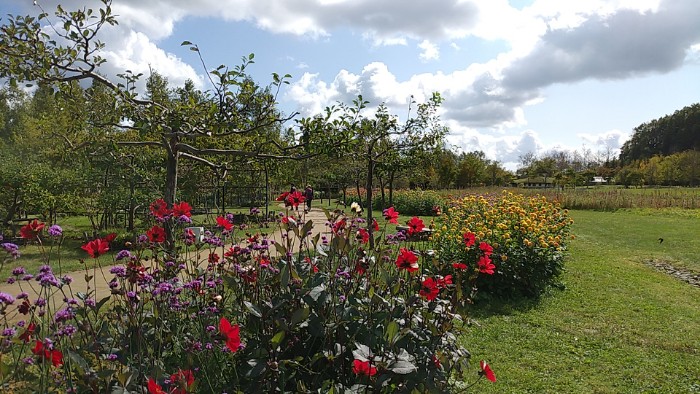 えこりん村 銀河庭園