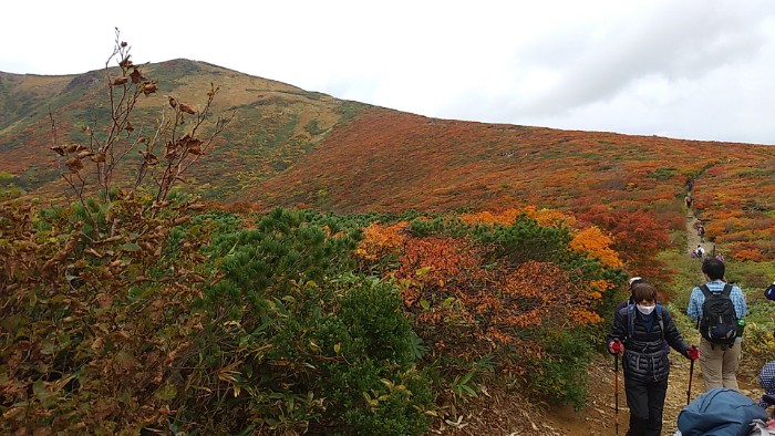 登山道 中央コース