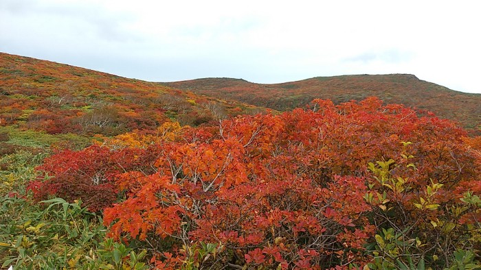 登山道より紅葉