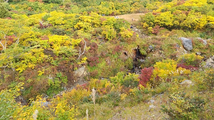 登山道 須川温泉へ
