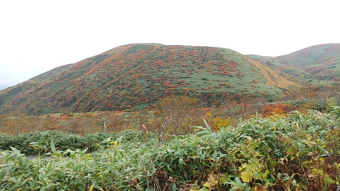 駒ヶ岳八合目小屋より 片倉岳
