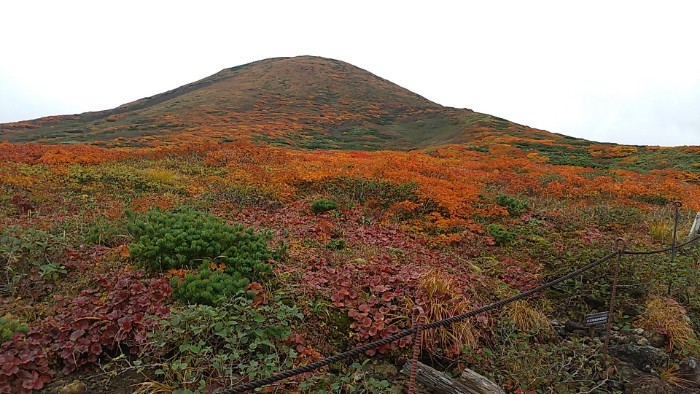 秋田駒ヶ岳