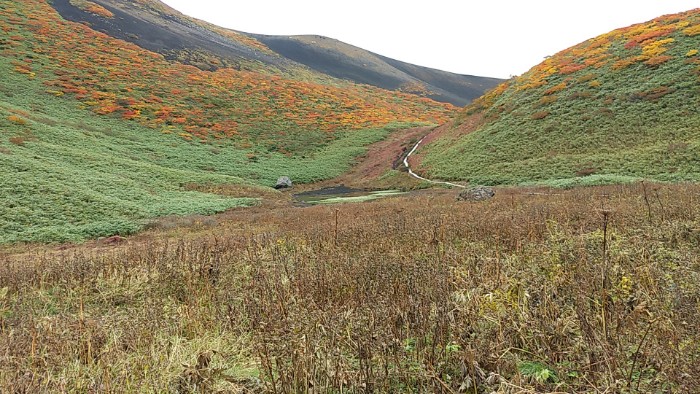 ムーミン谷 駒池