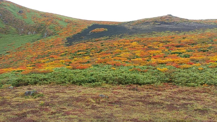 ムーミン谷より