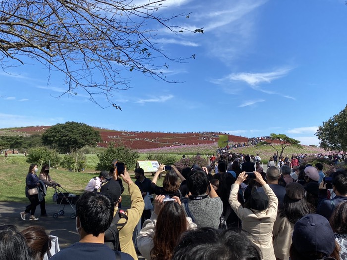 みはらしの丘遠景①