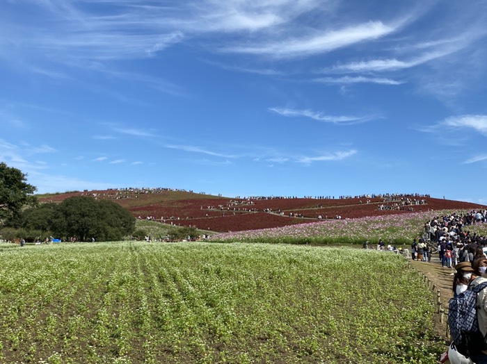 みはらしの丘遠景②