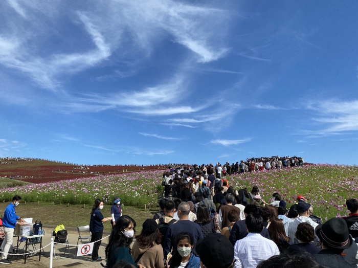 みはらしの丘遠景③