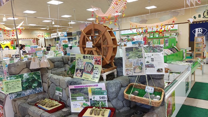 STEP IN たまるや