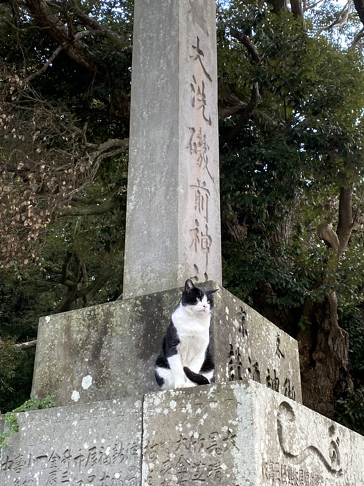 大洗磯前神社④