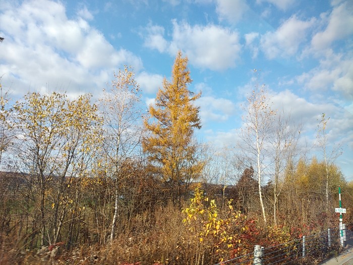 高速道路 車窓より