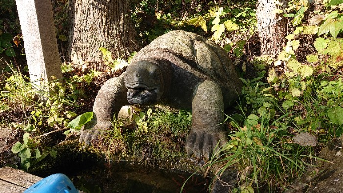 楽しみにしてたのに