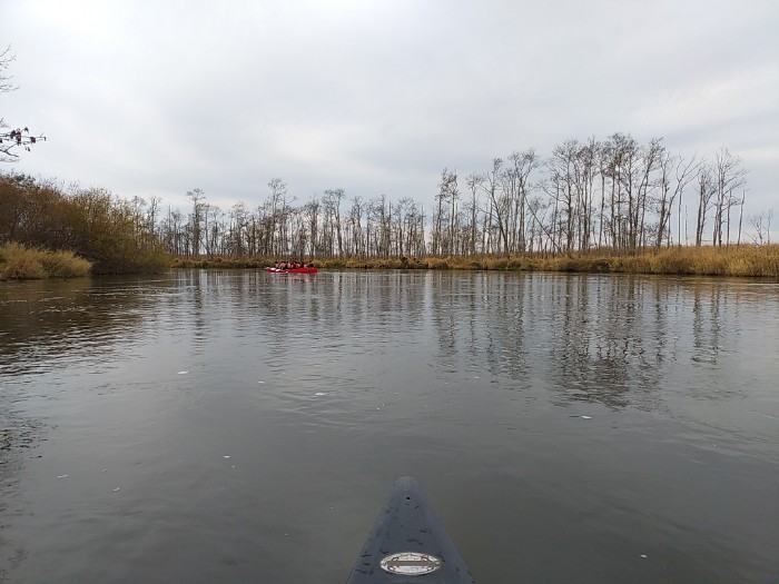 釧路川カヌーツアー