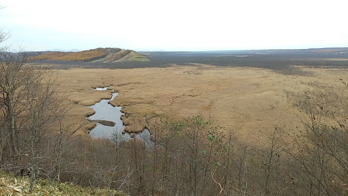 コッタロ湿原展望台