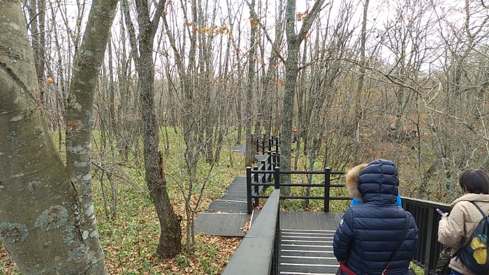温根内 釧路湿原へ