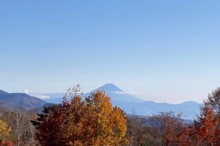初見で富士山を拝めました♪