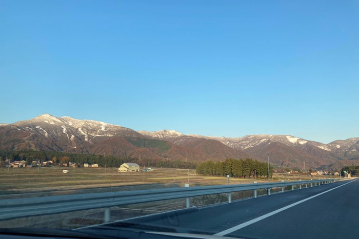 雪被ってます！