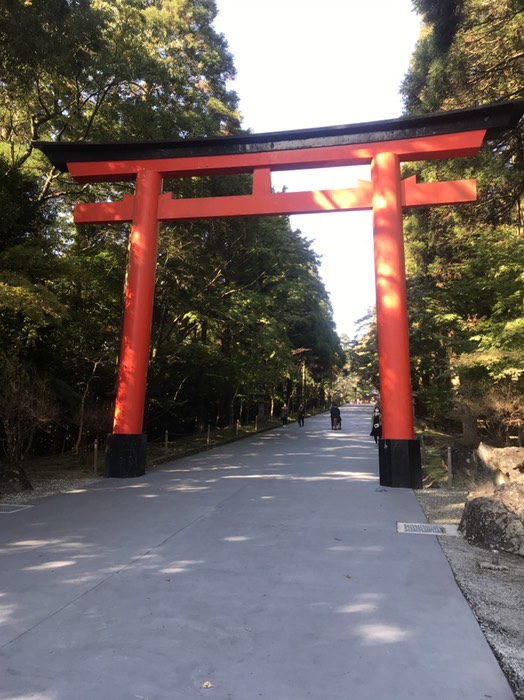 階段を登り切ったら、、、