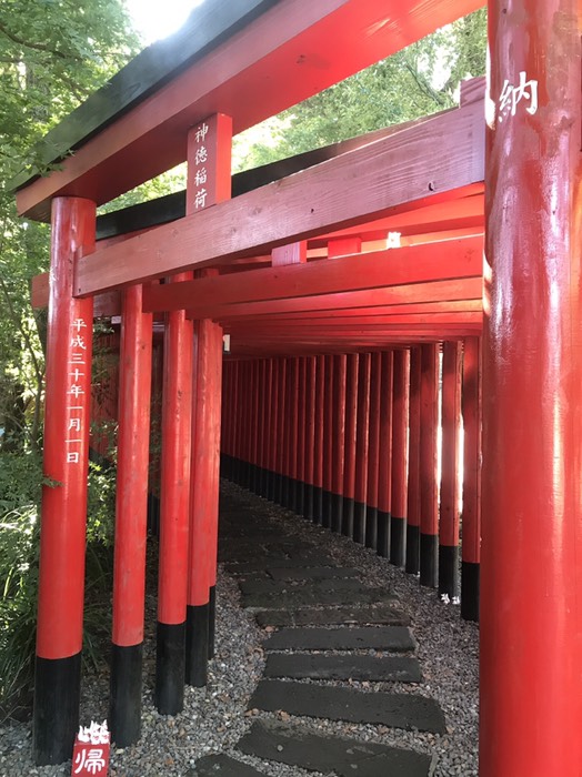 京都伏見稲荷ばりの鳥居の道